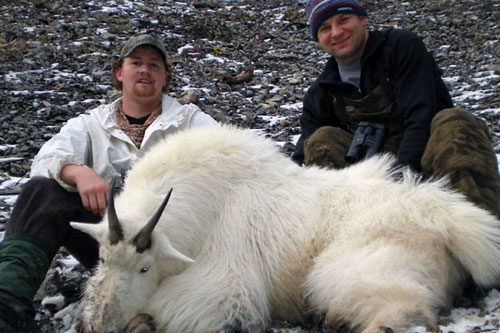 Rocky Mountain Goat Hunts