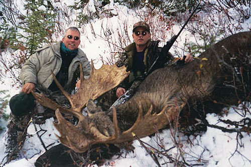 Shiras Moose Hunts