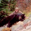 Black Bear -Picture Gallery