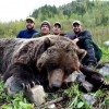 Interior Mountain Grizzly - Picture Gallery