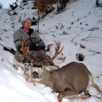 White Tail Deer, Mule Deer