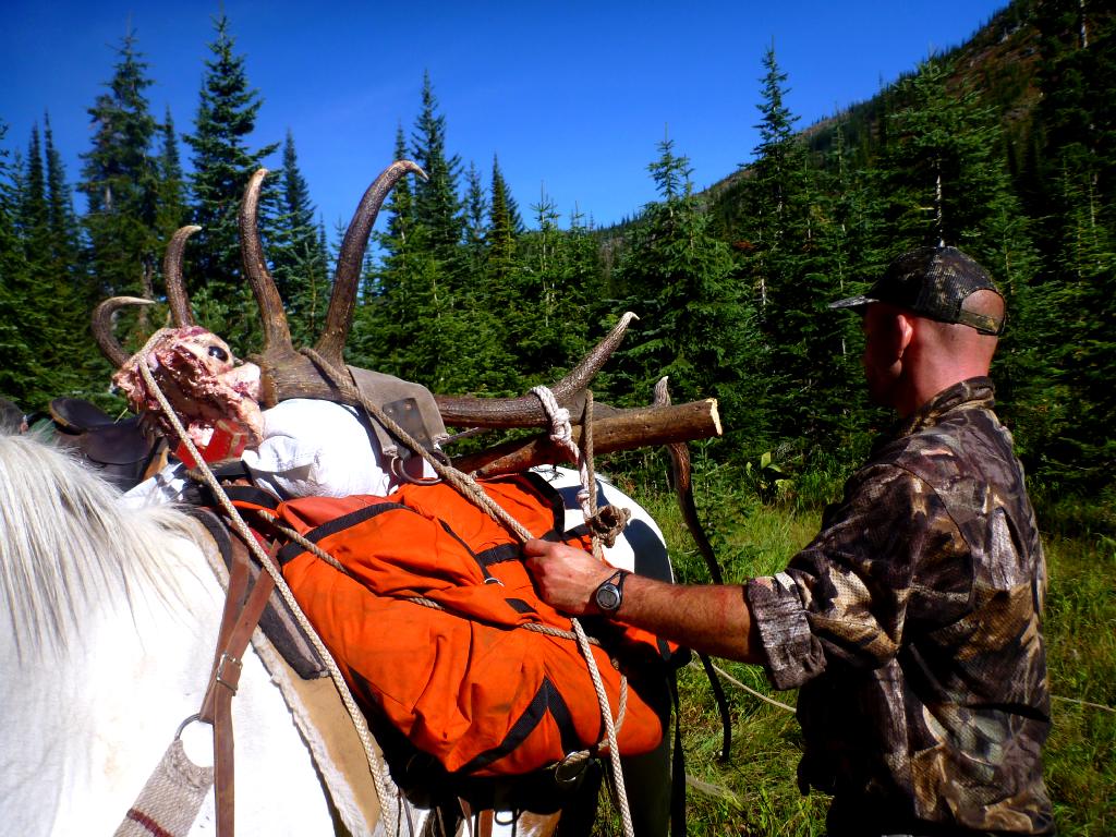 Grizzly Basin Outfitters - Hunt Memories